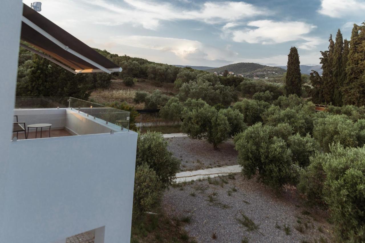 Olive View * Dikella